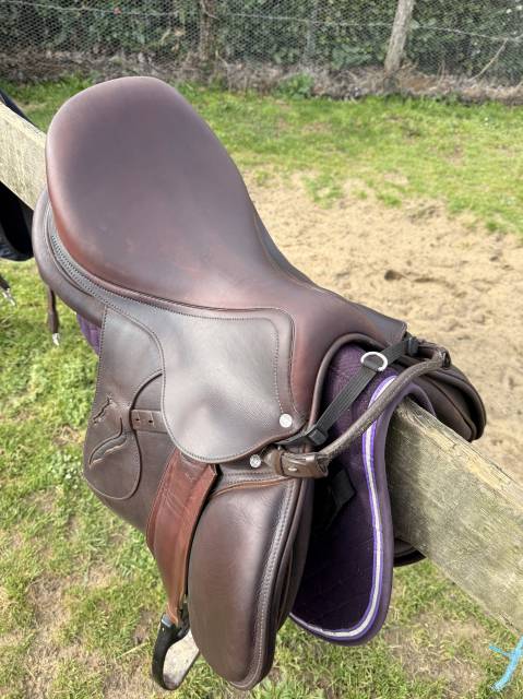 Magnifique selle mixte 