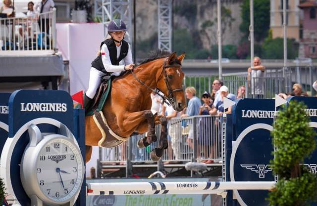 Superbe jument à vendre pour sauter 110-120