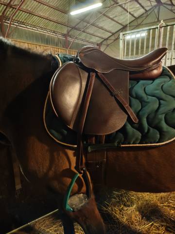 Selle eric thomas kevin 17, 5