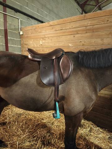 Selle Eric thomas kevin 17, 5 