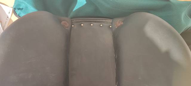 Selle Forestier Seoul veau 16,5 état neuf