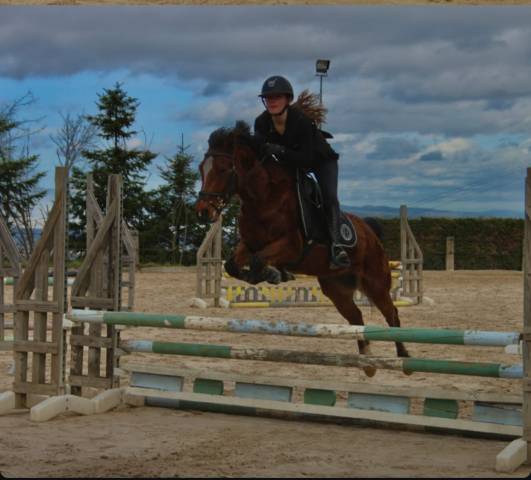 Top poney de sport