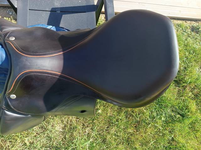 selle équipe expression 