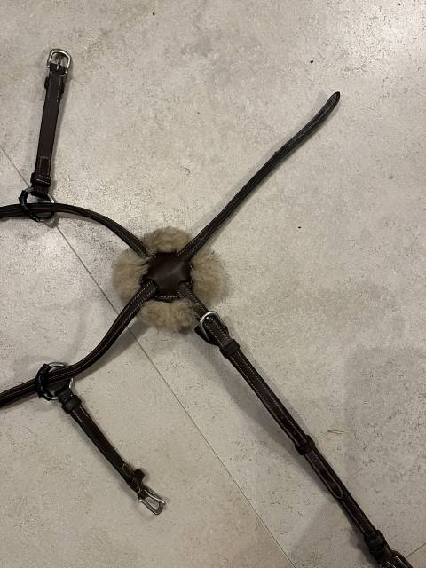 mors alain ventre 130 canon résine, olives cyrium 