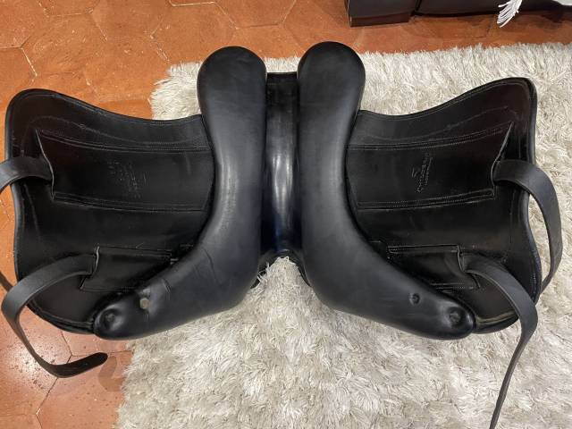 Childeric dressage DHE 17’5