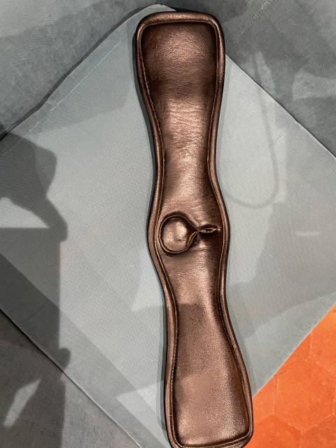 Childeric dressage DHE 17’5