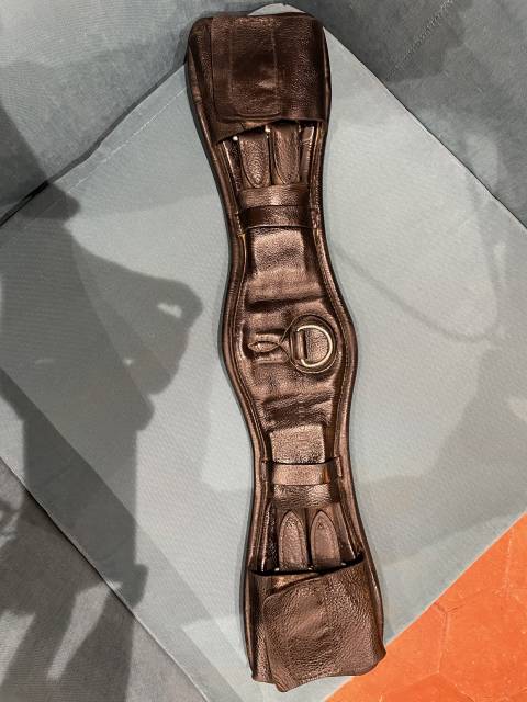 Childeric dressage DHE 17’5