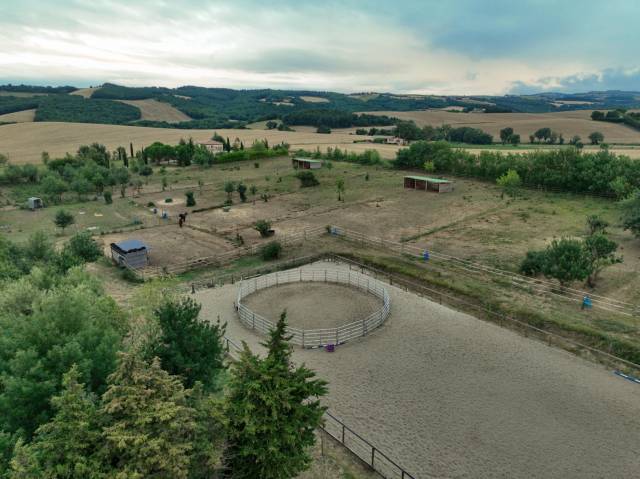 Débourrages - centre d’éducation et de formation des chevaux equimotion