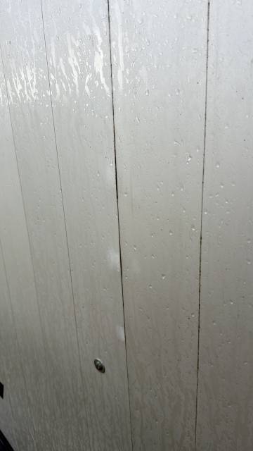 Van cheval liberté 4 places maxi