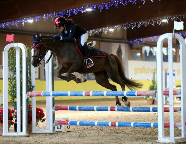 Jument autre race de poney a vendre 2009 alezan brulé