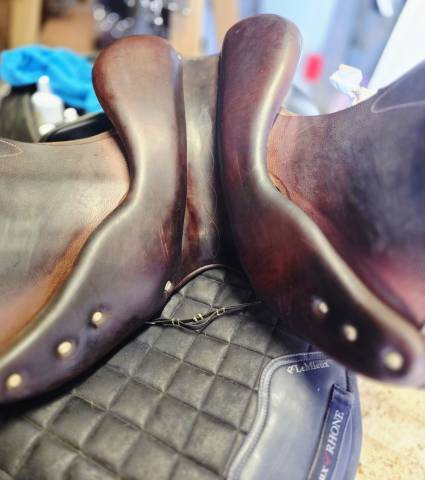 Selle Antares Confort 17.5 de 2018