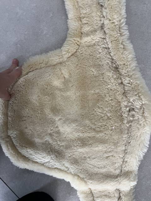 Sangle bavette mouton Kentucky 135