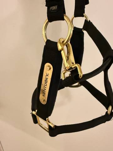 LICOL KENTUCKY VELVET