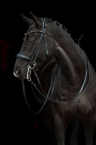 Bride de dressage Grace - HKM - Cuir avec strass