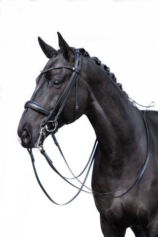 Bride de dressage Grace - HKM - Cuir avec strass