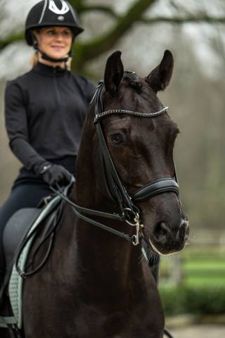 Bride de dressage Grace - HKM - Cuir avec strass