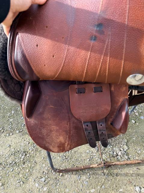 Meyer Marianne 17/4 creuse 2024 