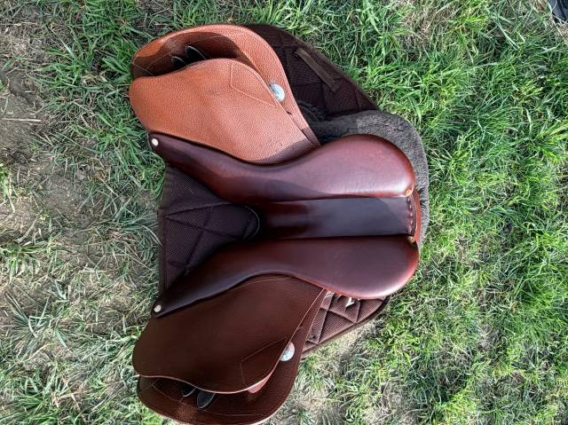 Meyer Marianne 17/4 creuse 2024 