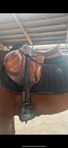 Selle Devoucoux Chiberta 