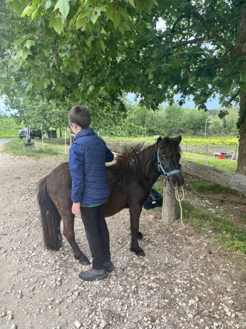 Adorable ponette d’avenir pp gentille et manipulée