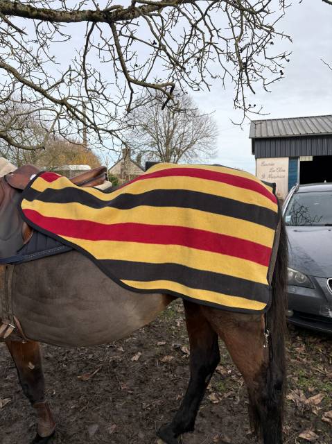 Couvre Reins Horsewear 130