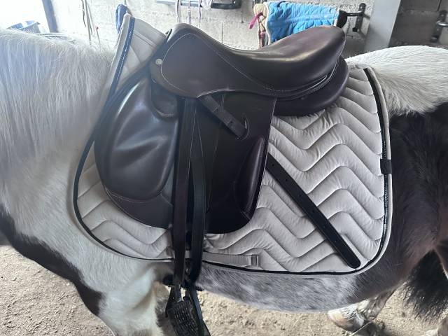 selle Devoucoux modèle Chilberta K kid