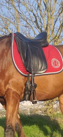 Selle antares dressage 17,5 noir