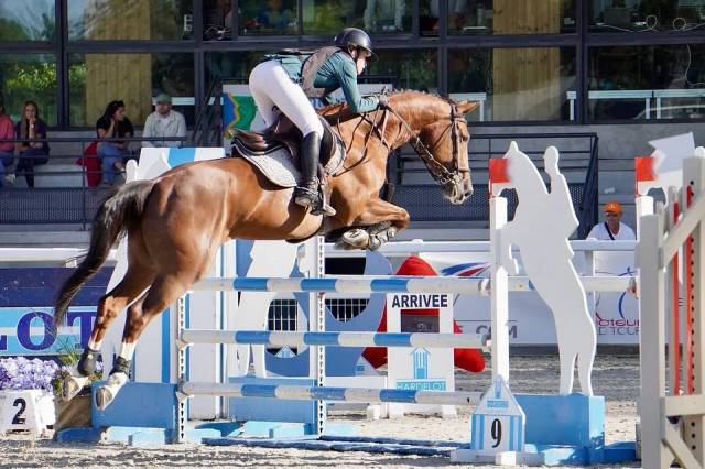 Très belle jument de 9 ans 