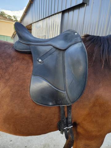Selle Wintec dressage Isabell Werth Cair HART 