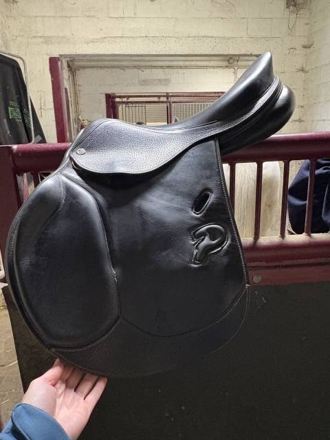 Selle mixte privilège équitation saumur