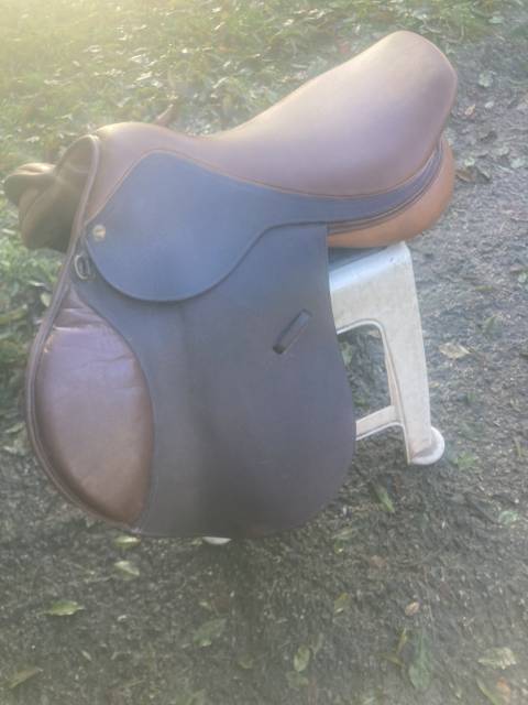 Selle terry’s sensor