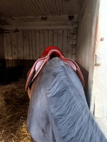 Selle cwd 18 pouce quartier 4 C 