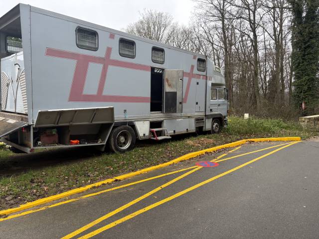 Vend pl 8 chevaux renaullt