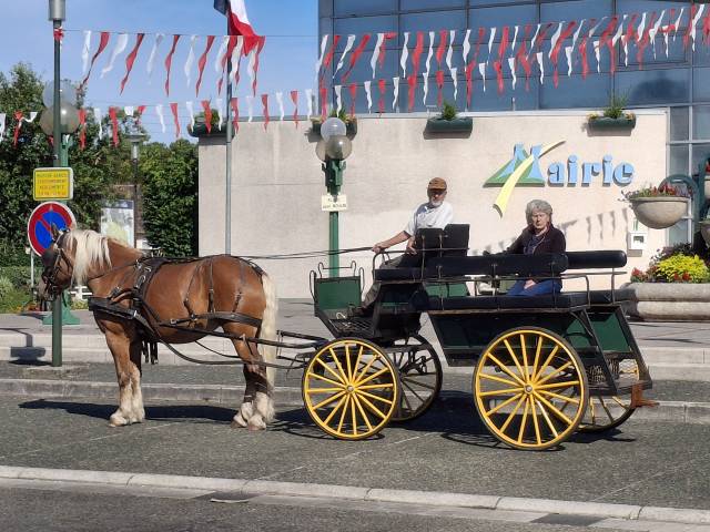 Véhicule hypomobile modele sandra