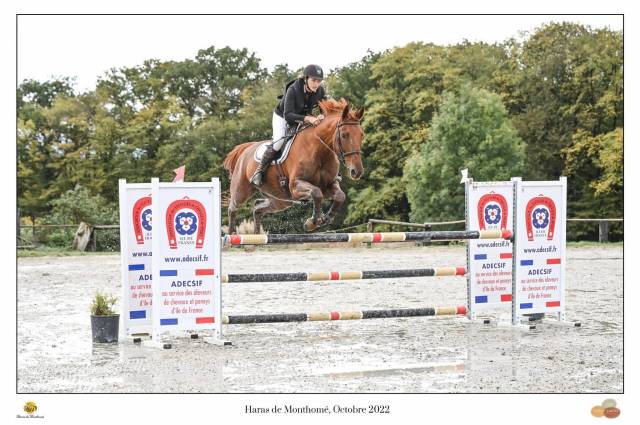 Enseignante d'équitation indépendante et cavalière