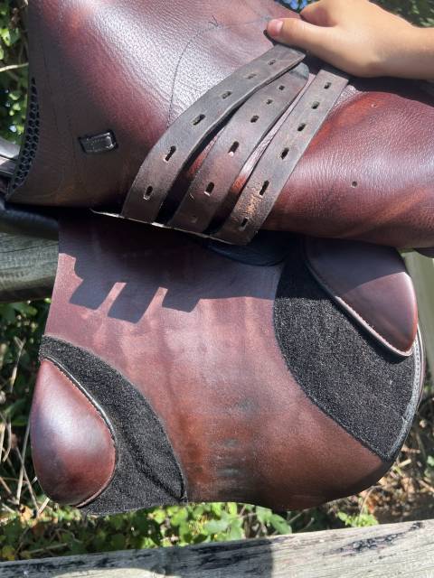 Selle d'obstacle Equiline Nick Skelton