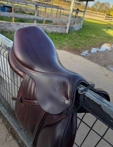 Selle CWD de 2016 SE03