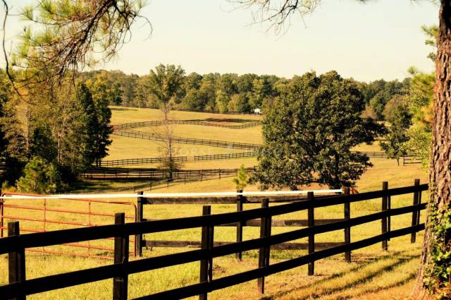 Centre equestre en activité-24 hectares + 20 hectares en locati