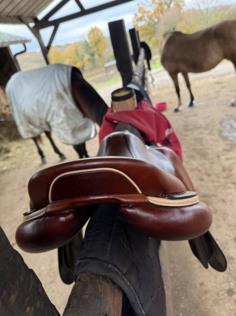 Selle cwd 2023 17’5