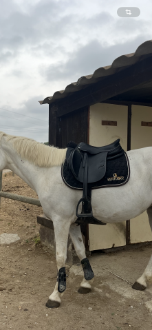 Selle &laquo;&nbsp;Lyon&nbsp;&raquo; Privil&egrave;ge &Eacute;quitation 