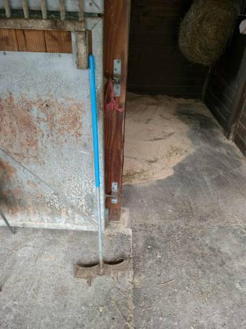 Tapis de box Physiogom