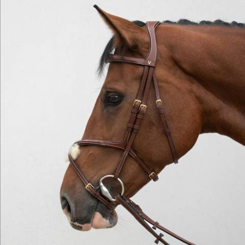 Bridon crossline avec muserolle mexicaine - HVN