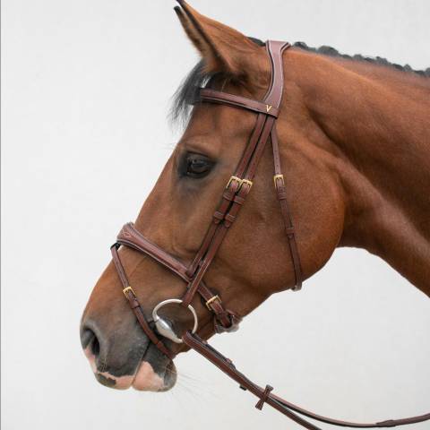 Bridon ergonomique HVM - Confort optimal