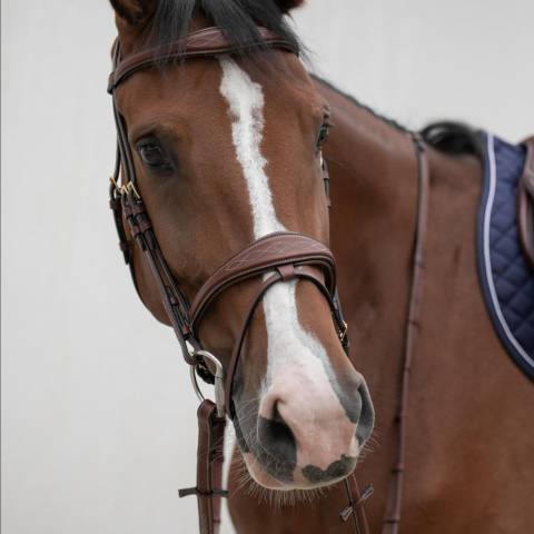 Bridon ergonomique HVM - Confort optimal