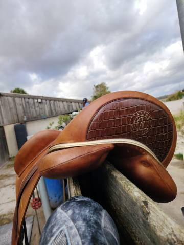 Selle dressage arion