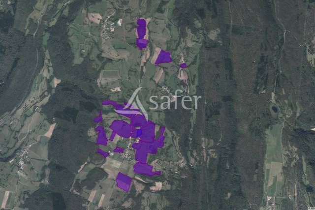 Exploitation aop comté bio avec 85 ha en vente autour des batim