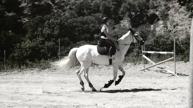 Recherche poste palfrenier/ouvrier agricole