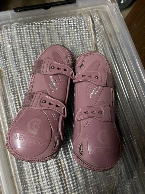 Protections Kentucky rose 