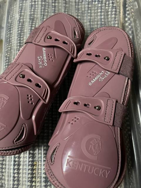 Protections Kentucky rose 