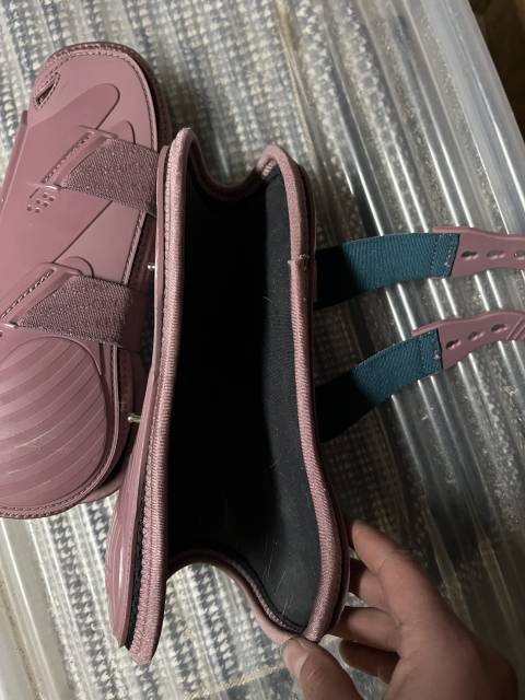 Protections Kentucky rose 